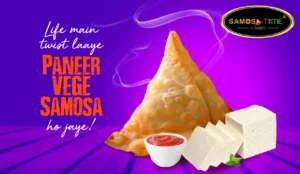 Paneer samosa with sauce and paneer cubes.